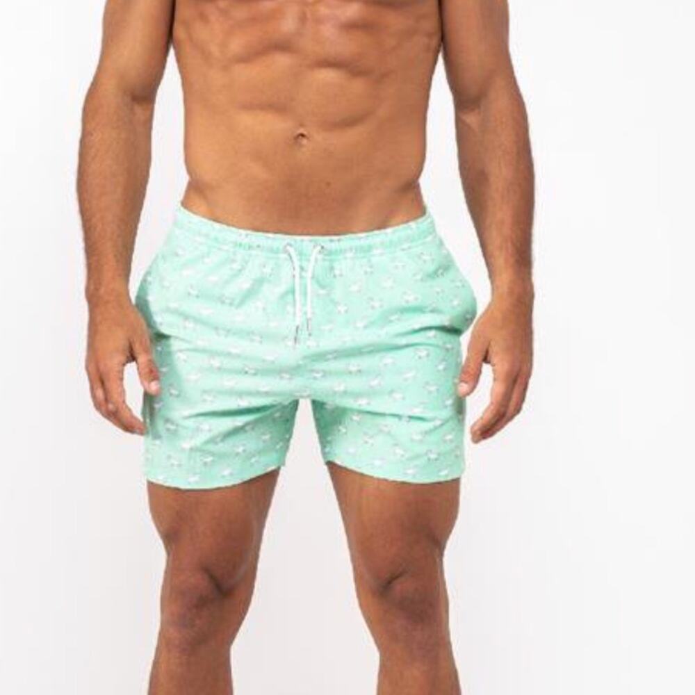 Bermies greenfall palm swimwear trunks shorts